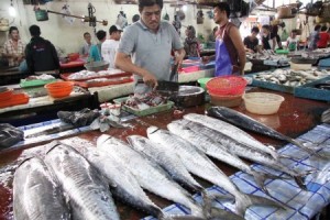 ilustrasi pasar ikan